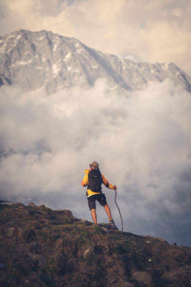 pexels-yogendras31-15026219