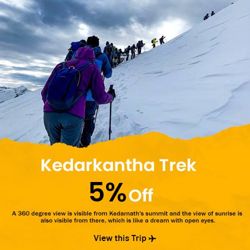 treak 500